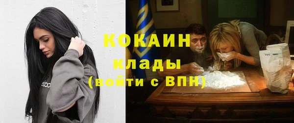 МДПВ Вяземский