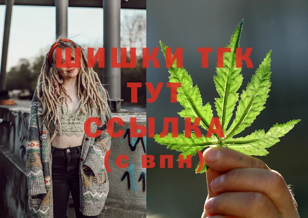 МДПВ Вяземский