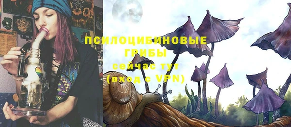 МДПВ Вяземский