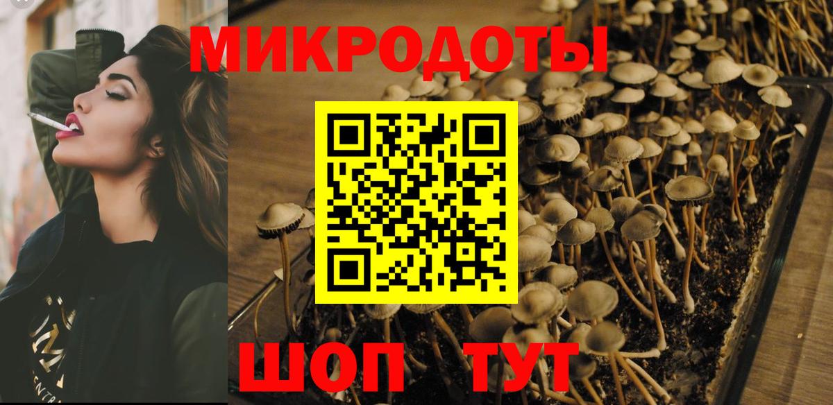 Псилоцибиновые грибы Magic Shrooms Городец
