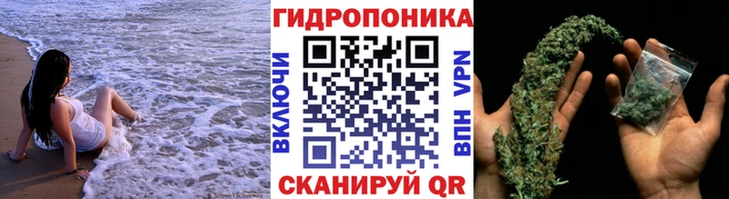 нарко площадка формула  Городец  Каннабис индика 